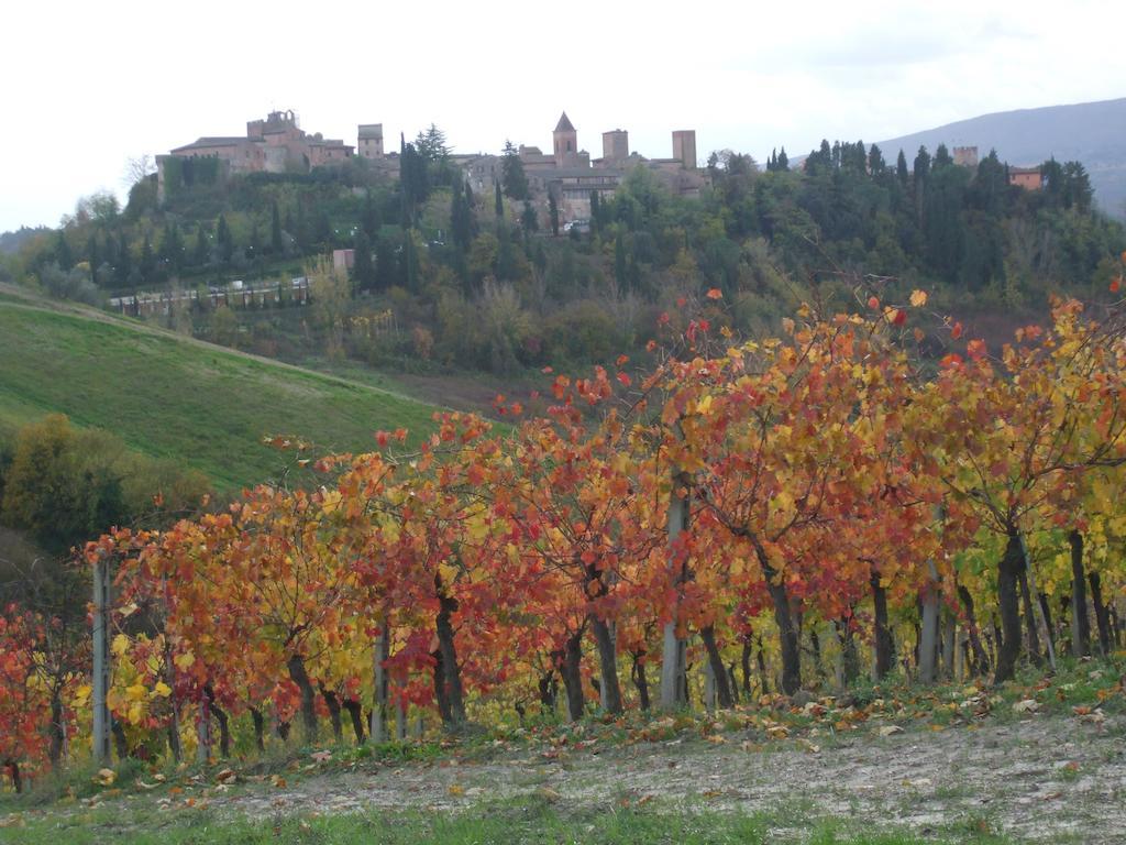 Agriturismo Il Torrione Villa Certaldo Exteriör bild