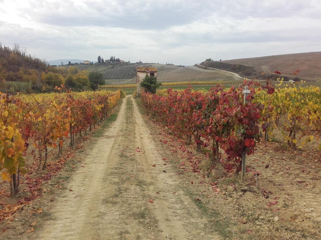 Agriturismo Il Torrione Villa Certaldo Exteriör bild