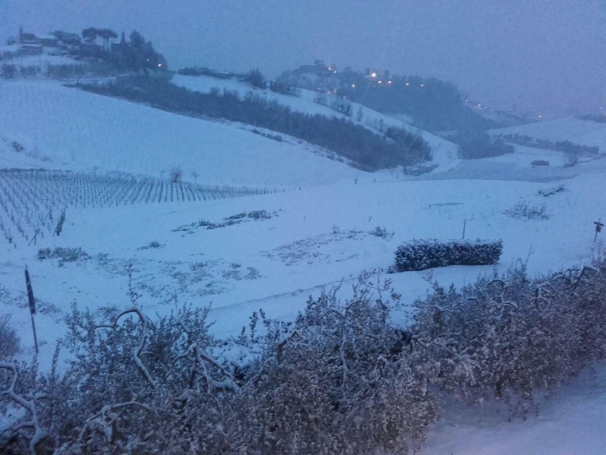 Agriturismo Il Torrione Villa Certaldo Exteriör bild