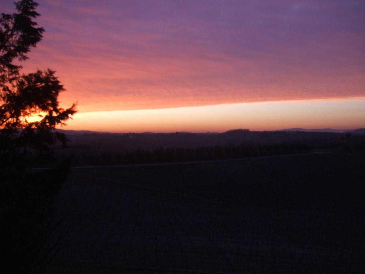 Agriturismo Il Torrione Villa Certaldo Rum bild